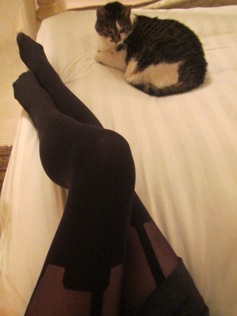 mock suspender tights and cat on the bed